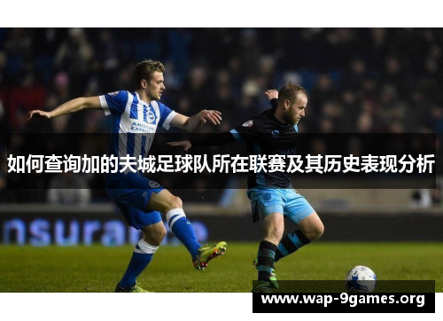 如何查询加的夫城足球队所在联赛及其历史表现分析 如何查询加的夫城足球队所在联赛及其历史表现分析